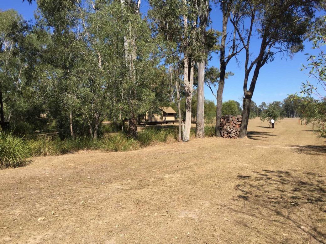 Spacious camping grounds with native trees and green lawns at Hangar O campsite