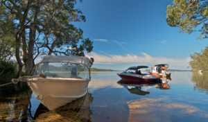 Neranie Head Campground Myall Lakes National Park is NSW site 109 in Camps 10