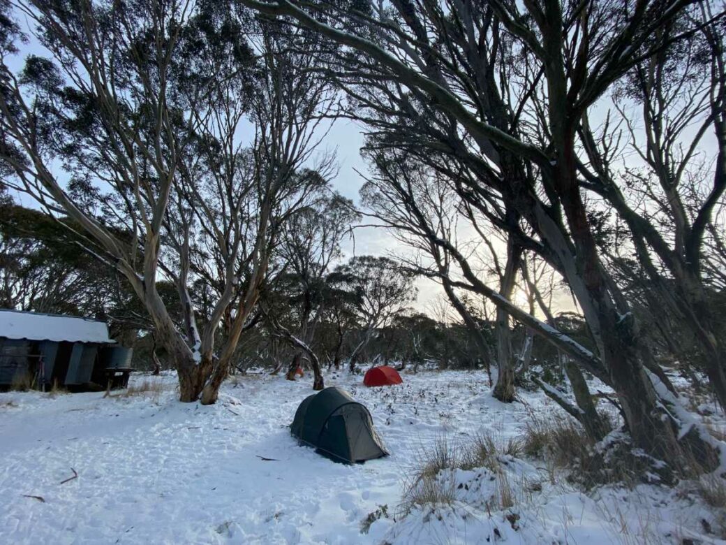 Open grassy flat at JB Plain Hut campground ideal for free camping near Dinner Plain