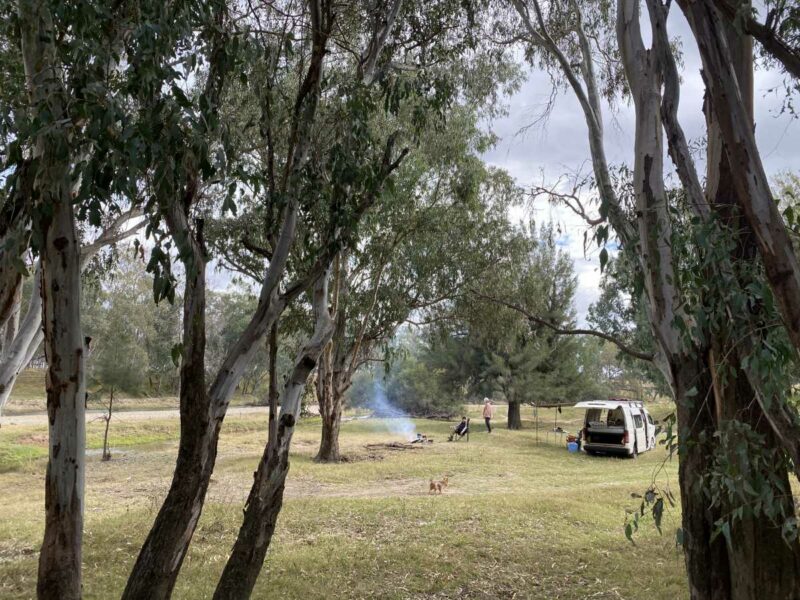 Dumaresq River Texas Queensland