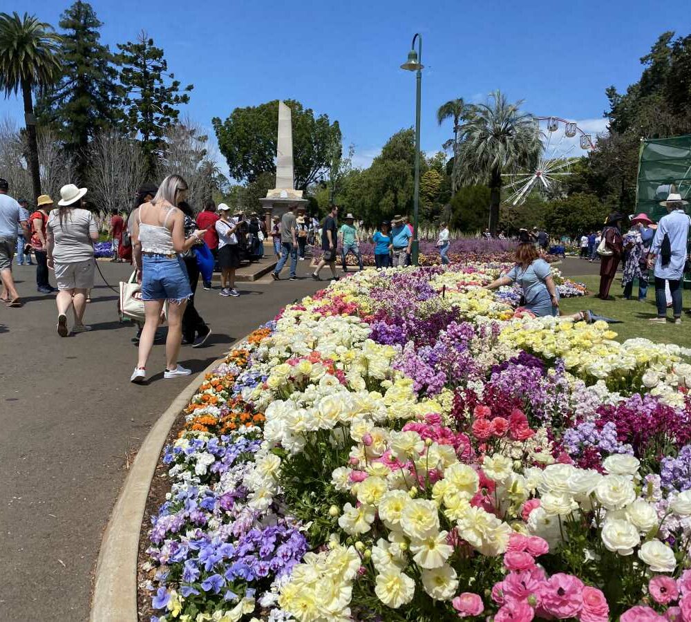 Colorful floral arrangements at Toowoomba Carnival of Flowers Queensland