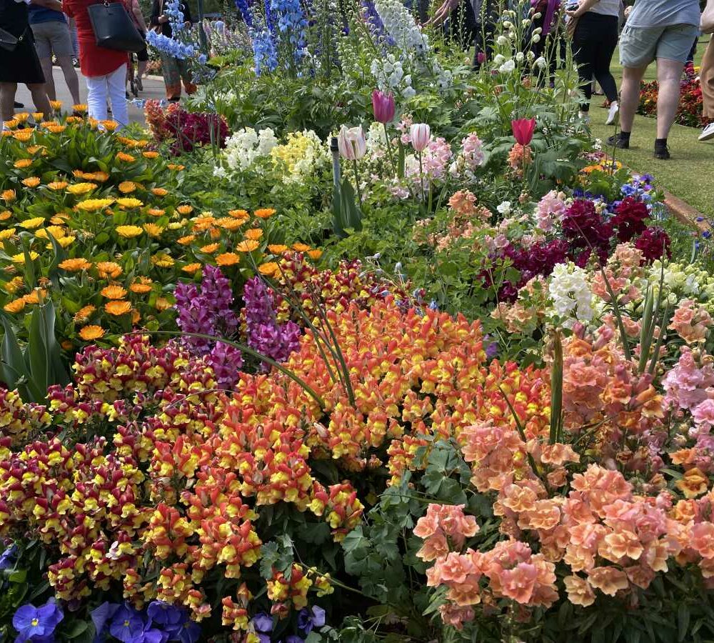 Beautiful flower garden beds at Toowoomba Carnival of Flowers Queensland