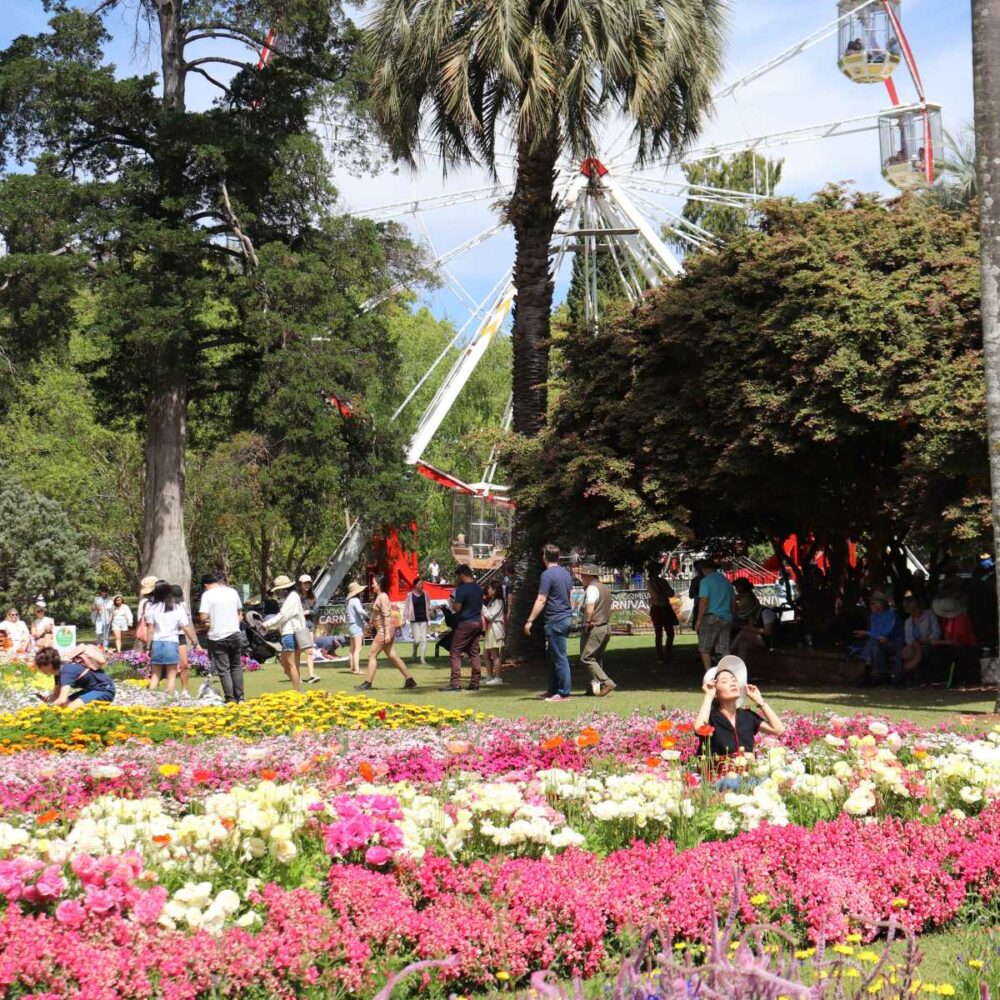 Bright floral arrangement at Toowoomba Carnival of Flowers Queensland