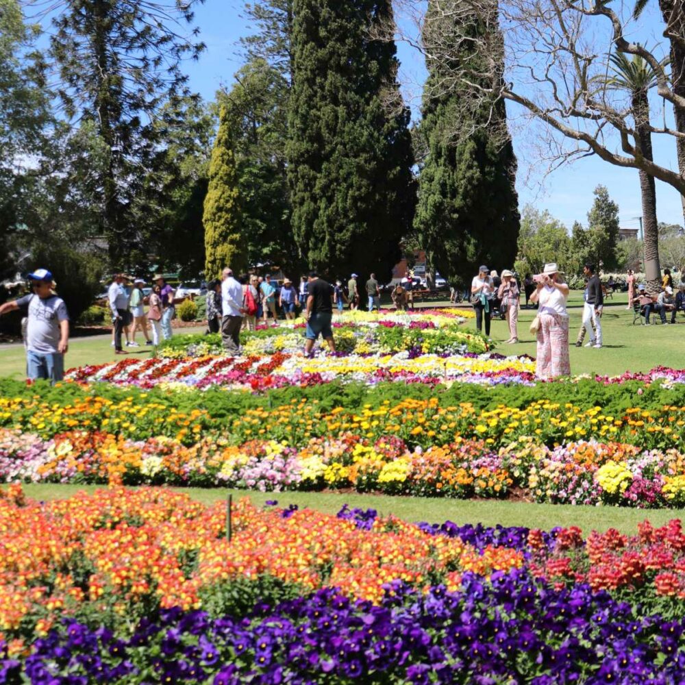 Blooming garden display at Toowoomba Carnival of Flowers Queensland