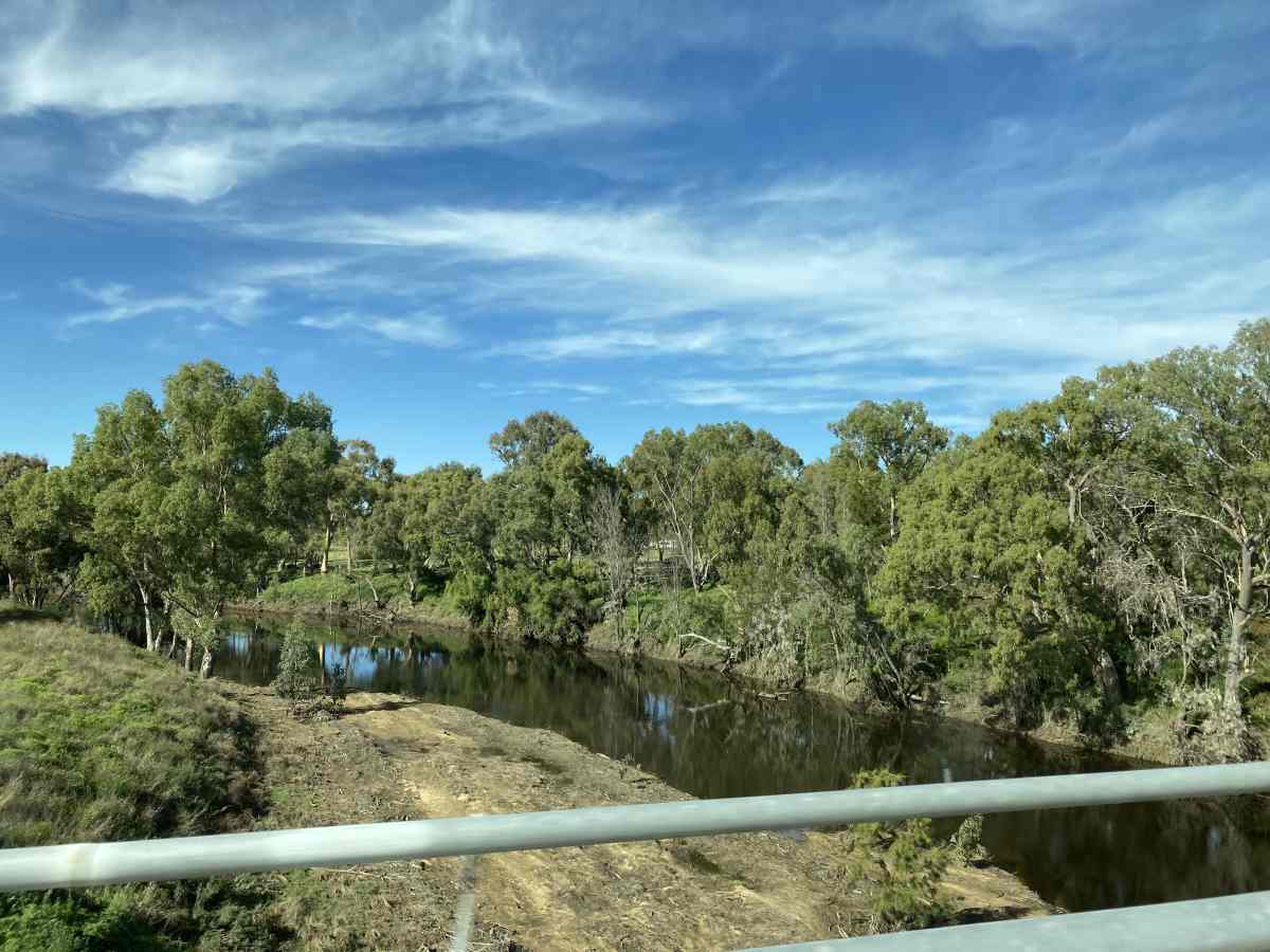 Two pet friendly budget camps at Bundarra, New South Wales Camps Australia Wide