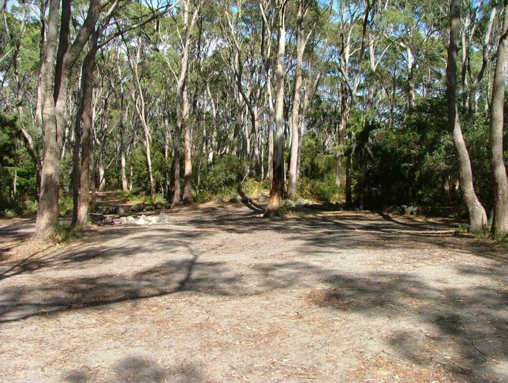 Camping tent at The Neck Campground, Bruny Island with coastal views in background