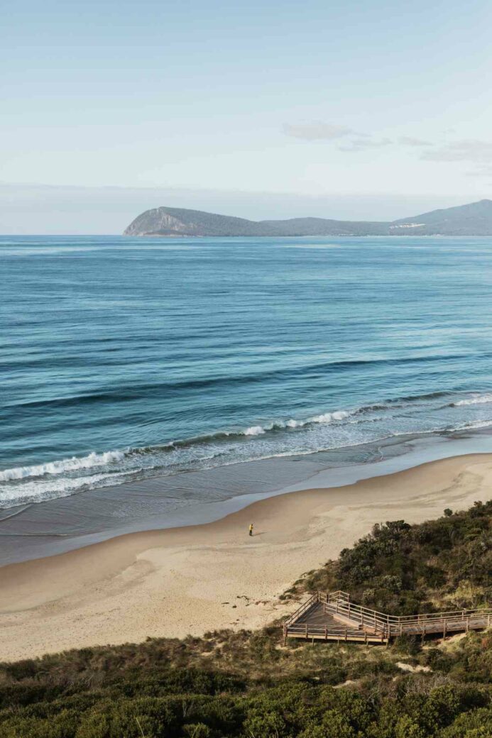 Wooden boardwalk stairs leading up to lookout at The Neck, Bruny Island, Tasmania