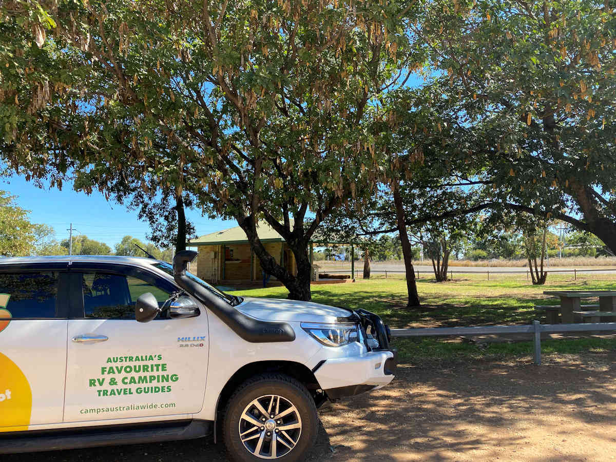 Definition: What is a Dig Tree? - Camps Australia Wide