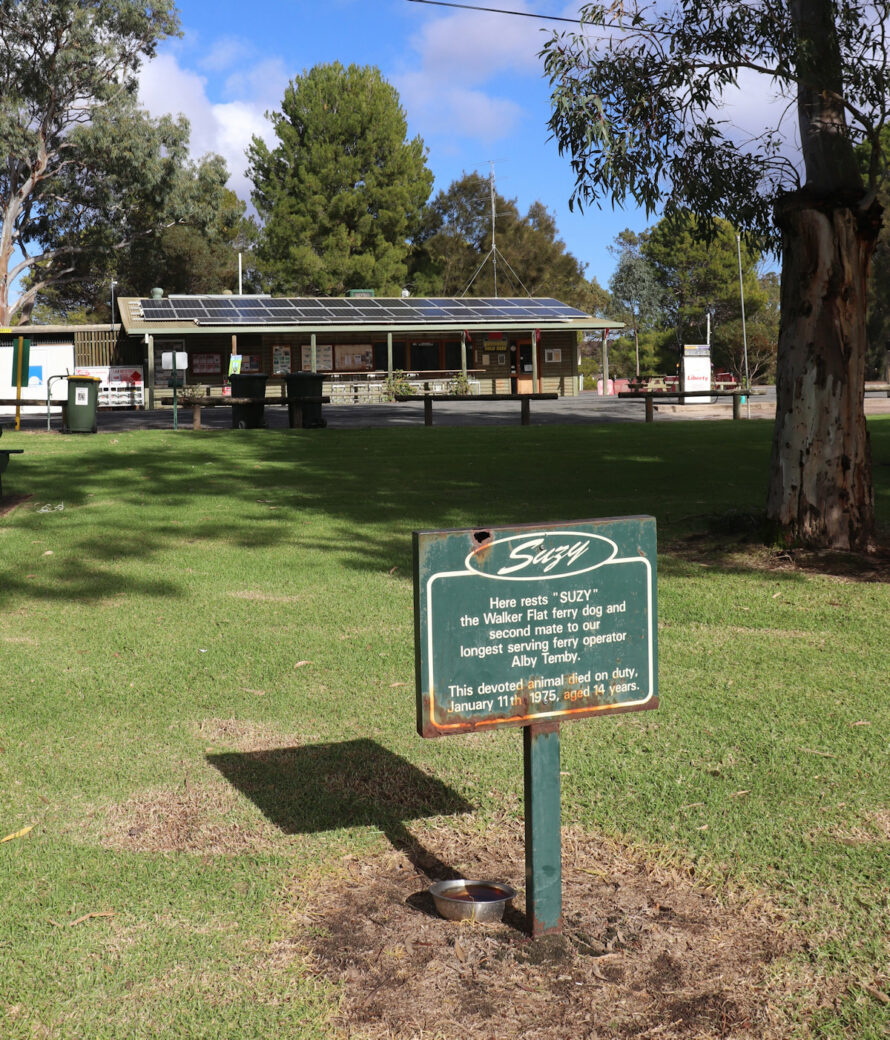 Historic Suzy's grave memorial site near Walker Flat campground
