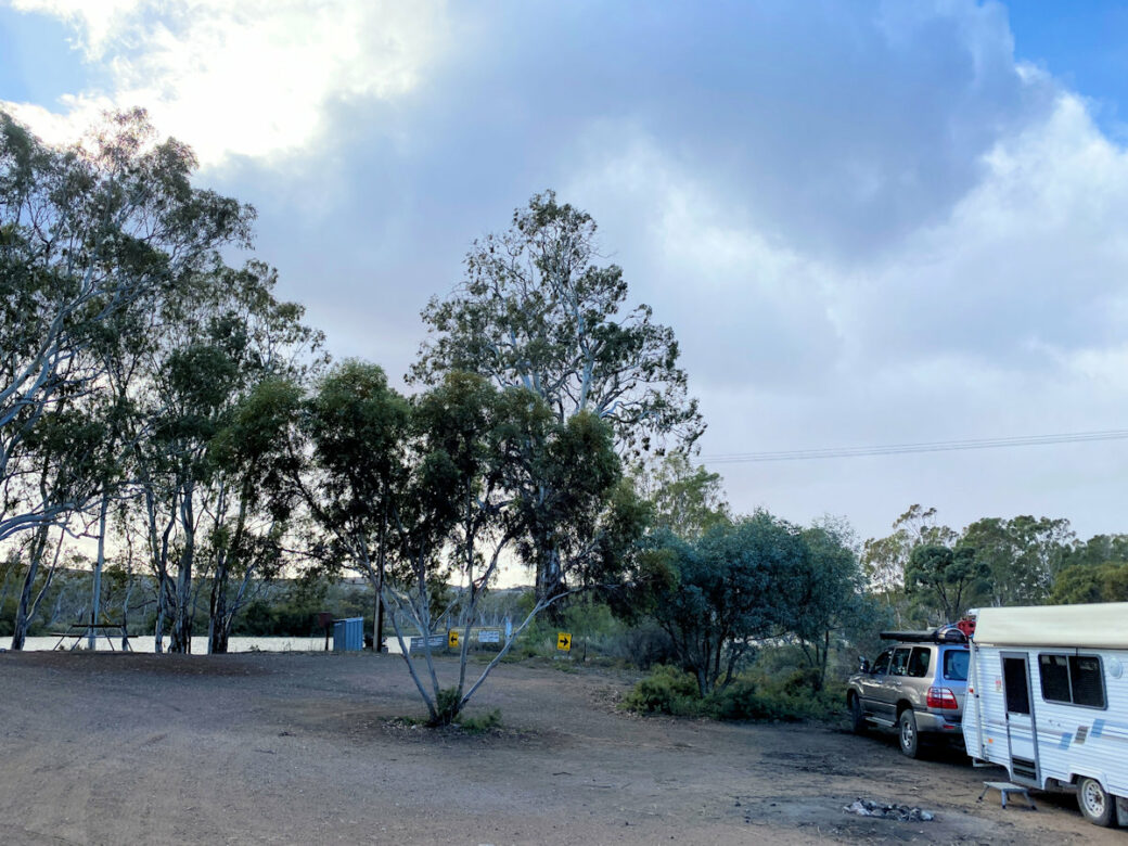 Open grassy camping space near Murray River at Walker Flat free camp