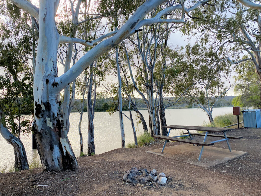 Murray River shoreline and camping area at pet friendly Walker Flat campground