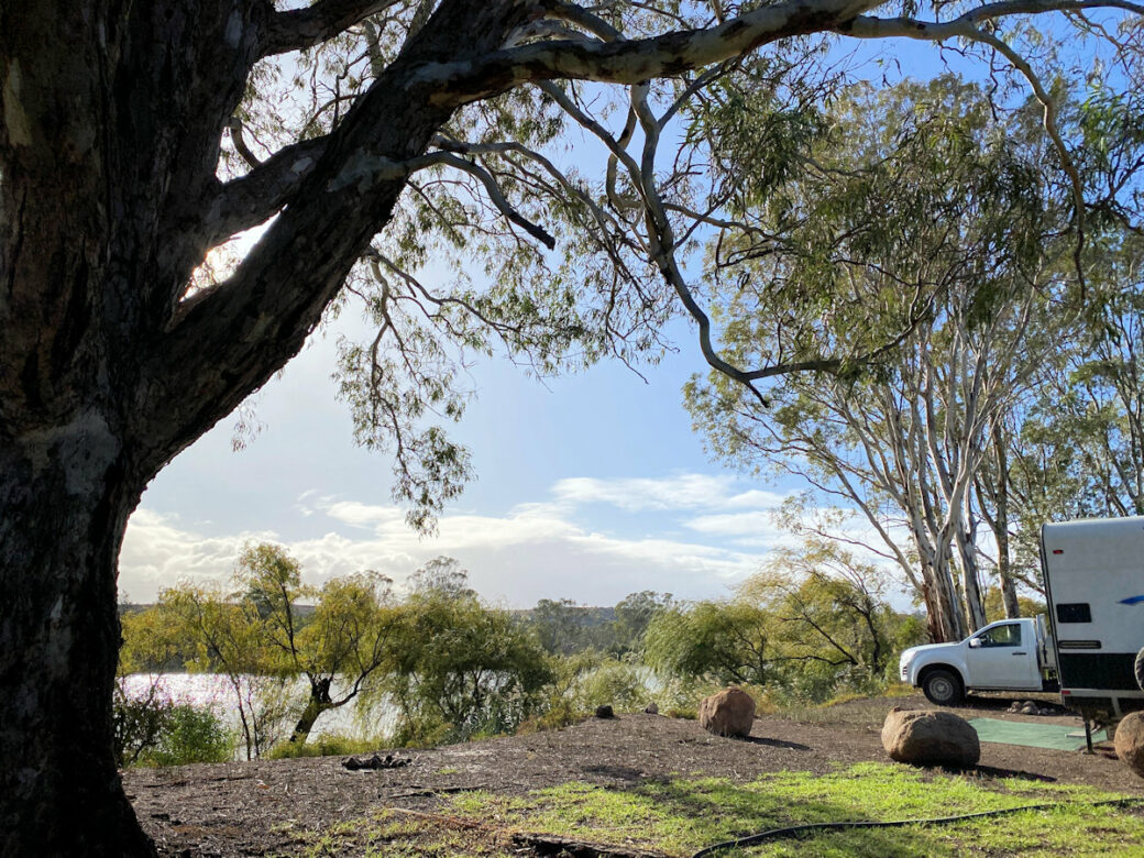 Peaceful riverside setting at Walker Flat free pet friendly camping area