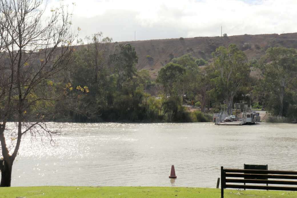Tranquil Murray River views from Walker Flat camping grounds