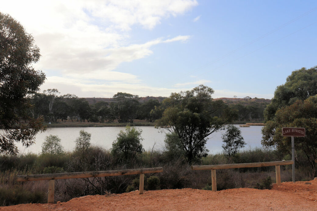 Murray River waterfront view from free camping grounds at Walker Flat