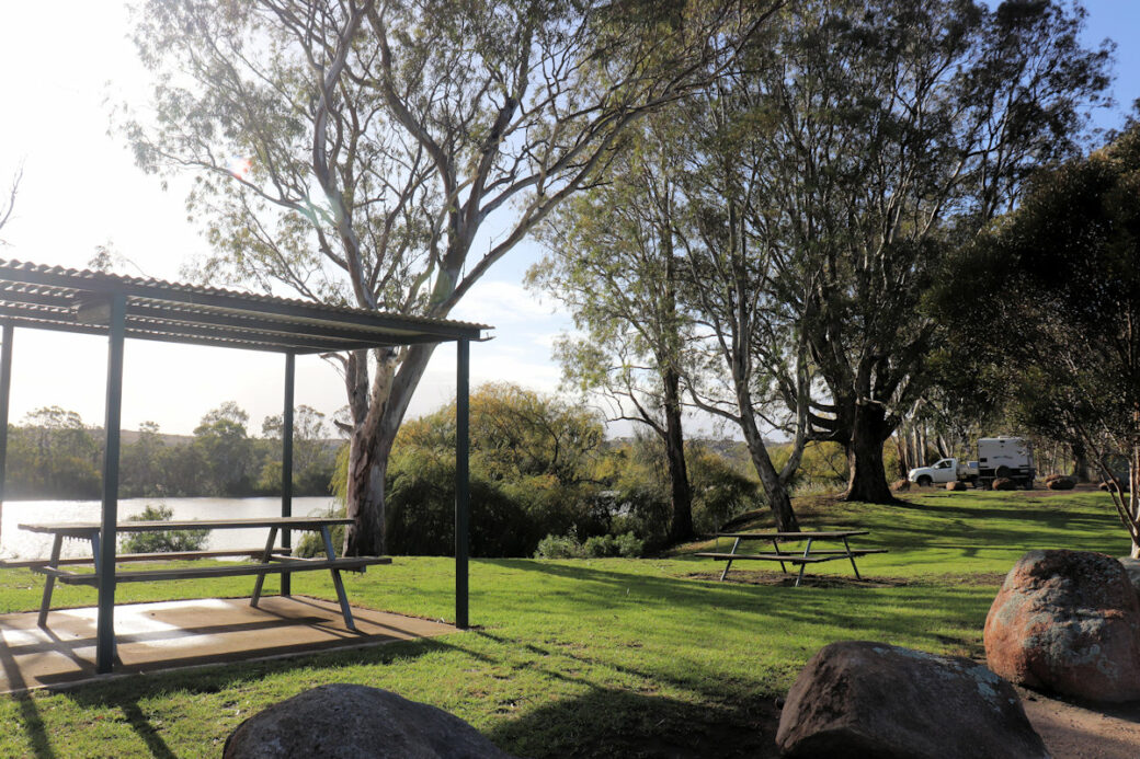 Riverside camping spot with trees and open space at Walker Flat campground