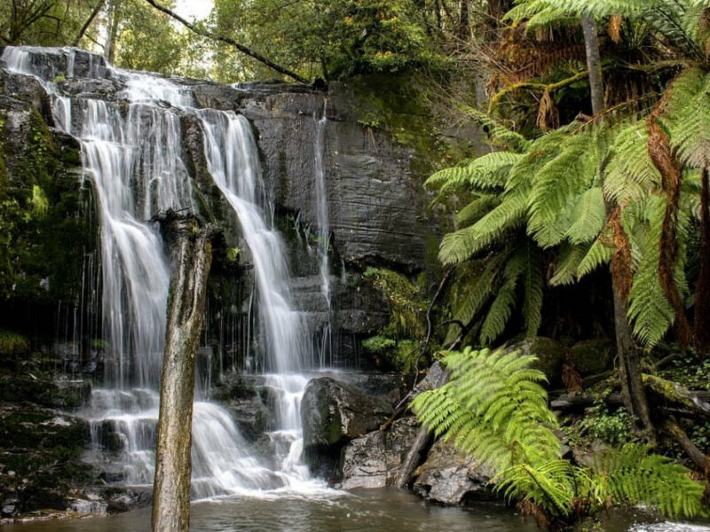 Lilydale Falls, Tasmania