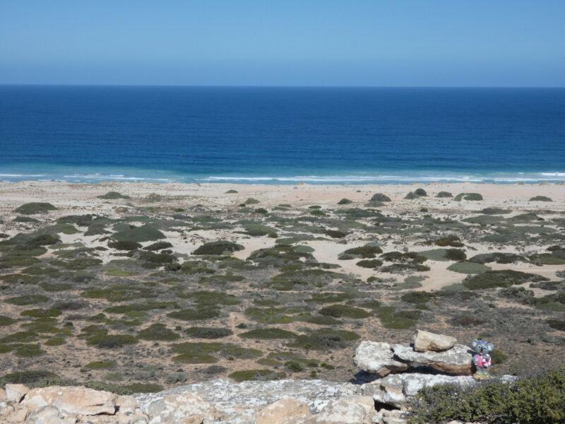 10k Peg Parking Area, The Nullarbor, South Australia - image Michael Lennon