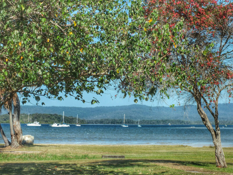 10 things to do and see in Tin Can Bay, Queensland Camps Australia Wide