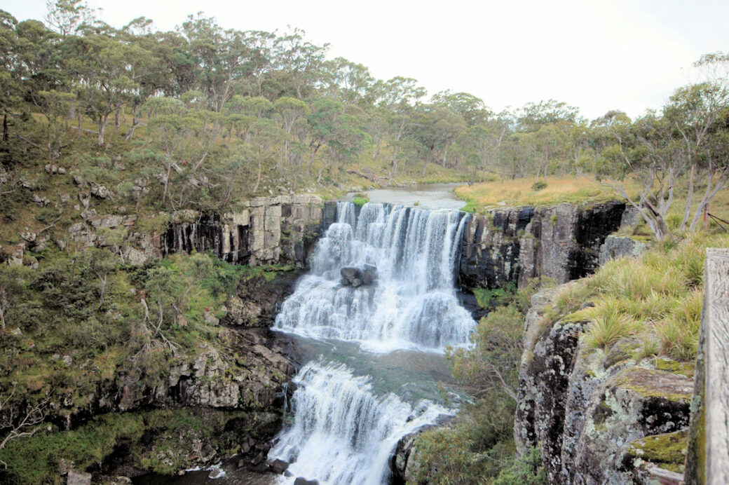 Ebor Falls cascading waterfall in New South Wales surrounded by lush forest