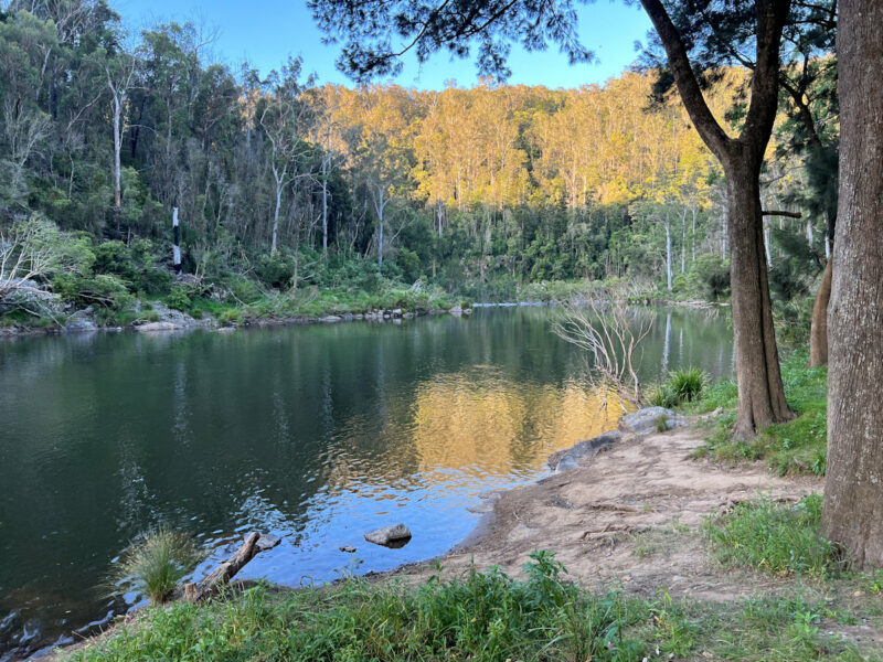 Nymboida River and sunlit gorge at Platypus Flat Campground, Nymboi-Binderay National Park, NSW