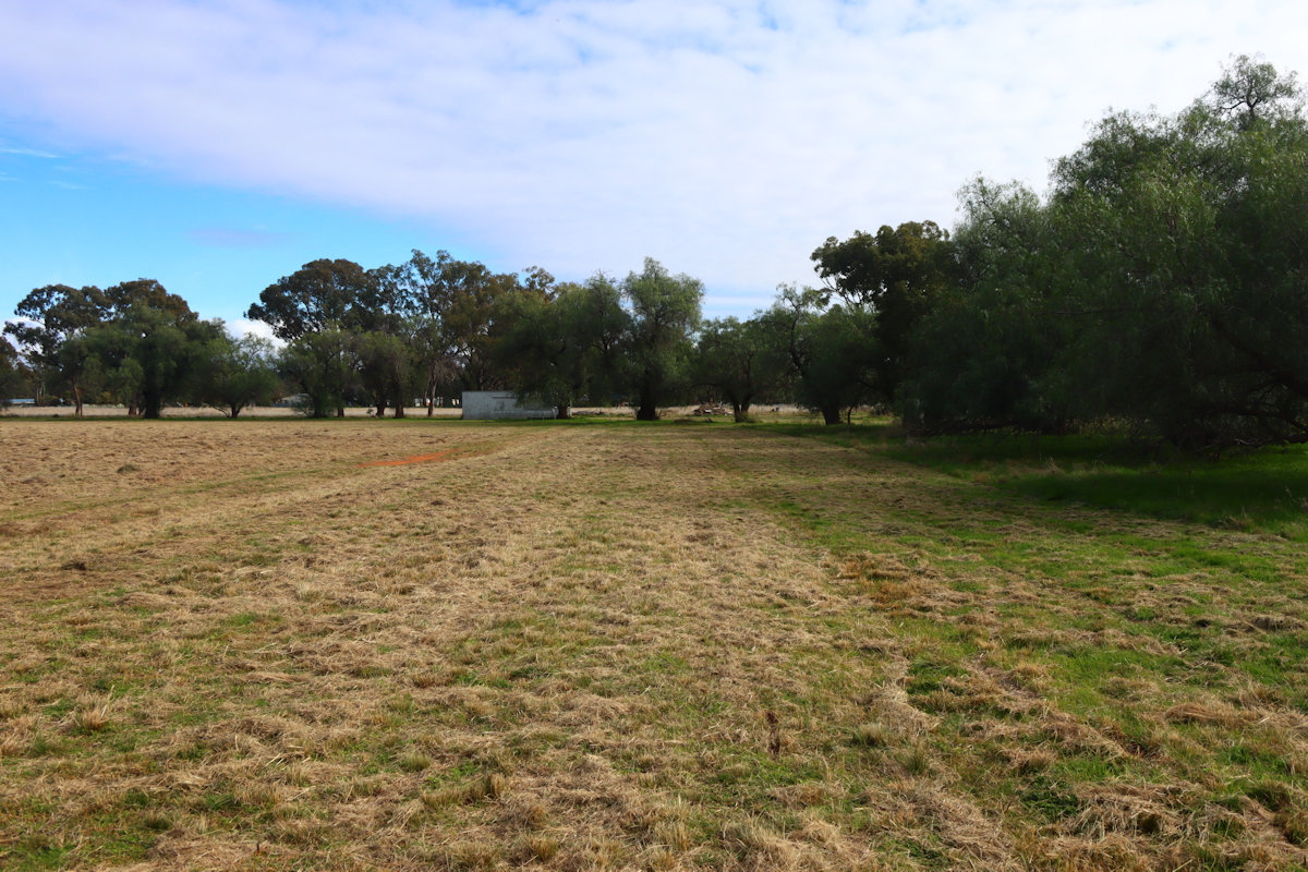 NEW budget camp: Alectown Rec Ground, New South Wales - Camps Australia ...