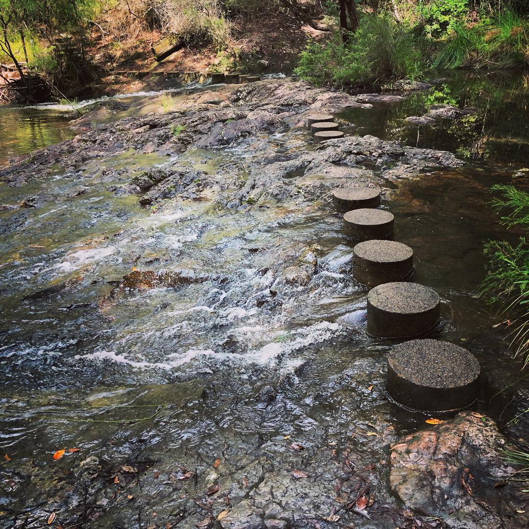 Ming Rummery Visit Minyon Falls and Rummery Park Camping Grounds, Nightcap National ...