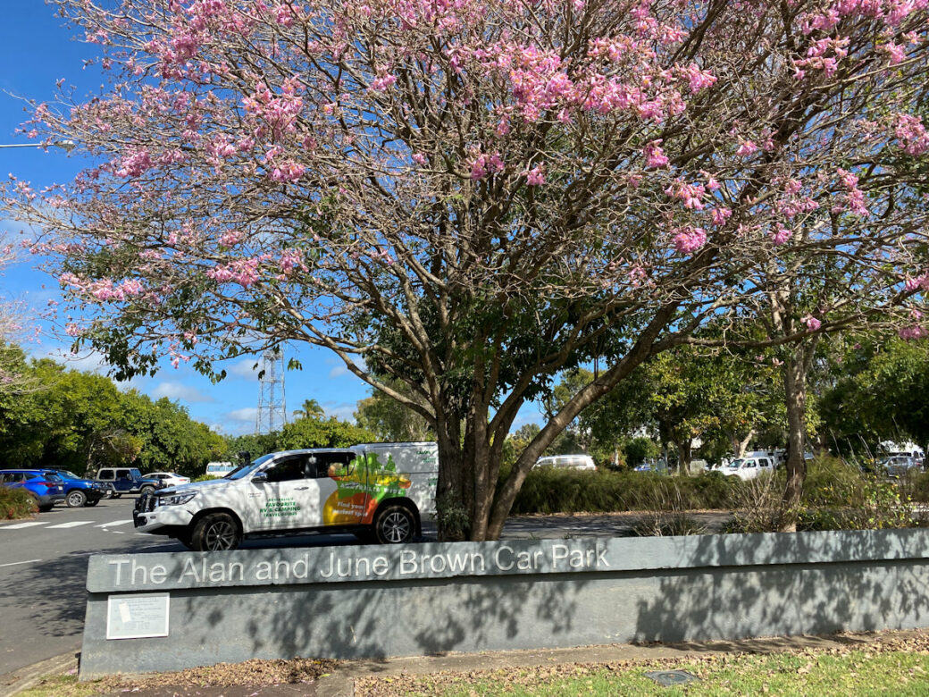 RV parked at Alan & June Brown free camping car park beside Mary River in Maryborough Queensland