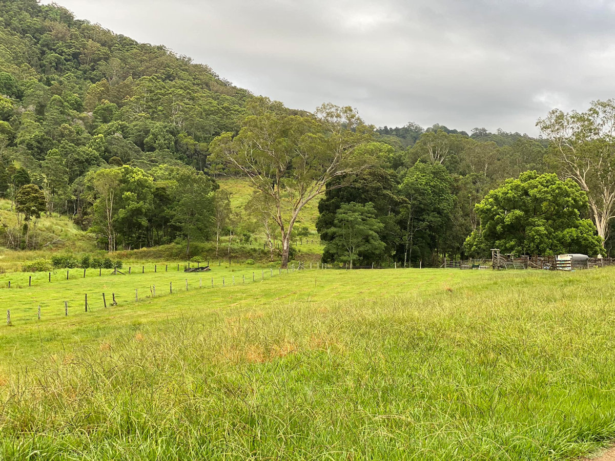NEW CAMP Cedarton Farm, Kilcoy, QLD Camps Australia Wide