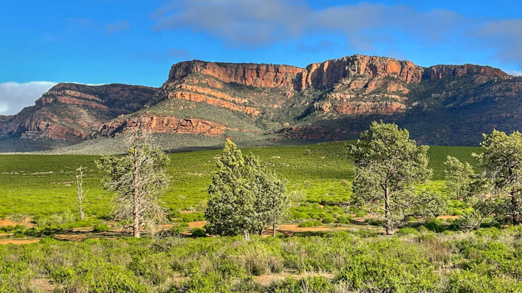 Panoramic view of Flinders Ranges landscape at Rawnsley Park Station, South Australia