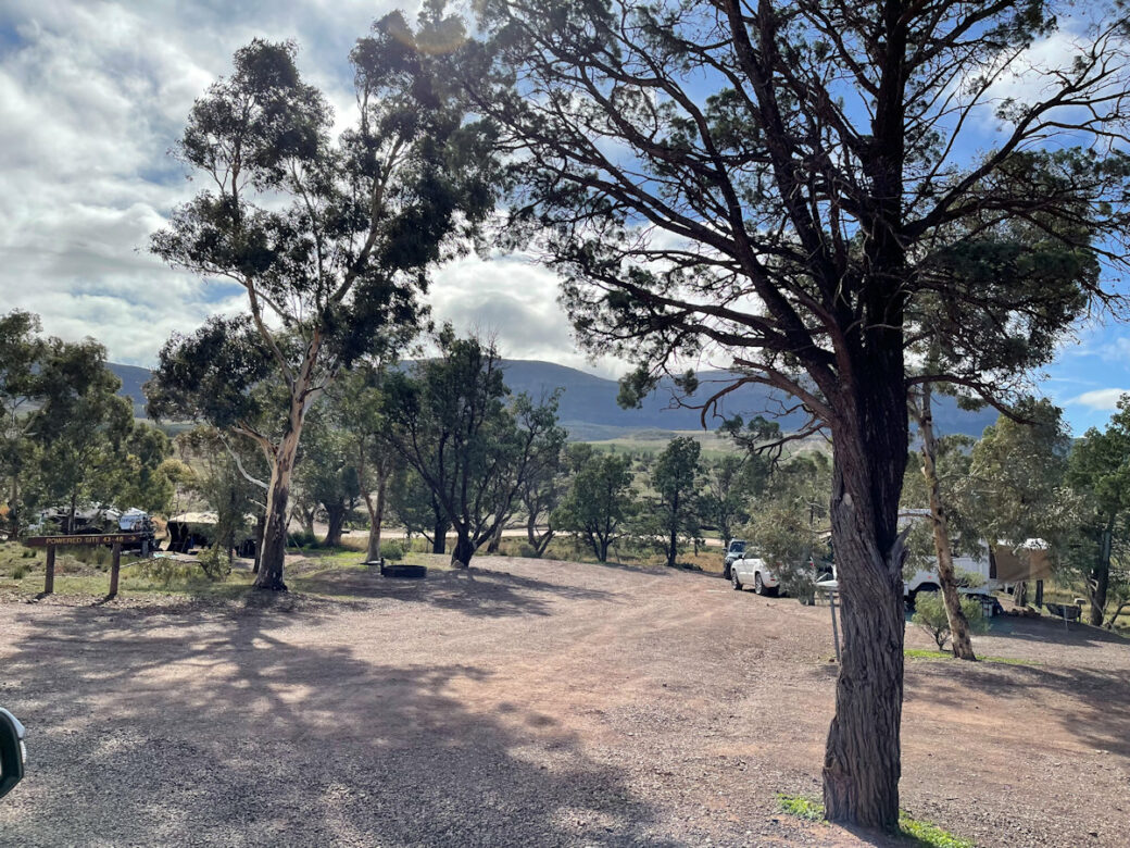Rugged mountain ranges and native vegetation at Rawnsley Park Station, SA