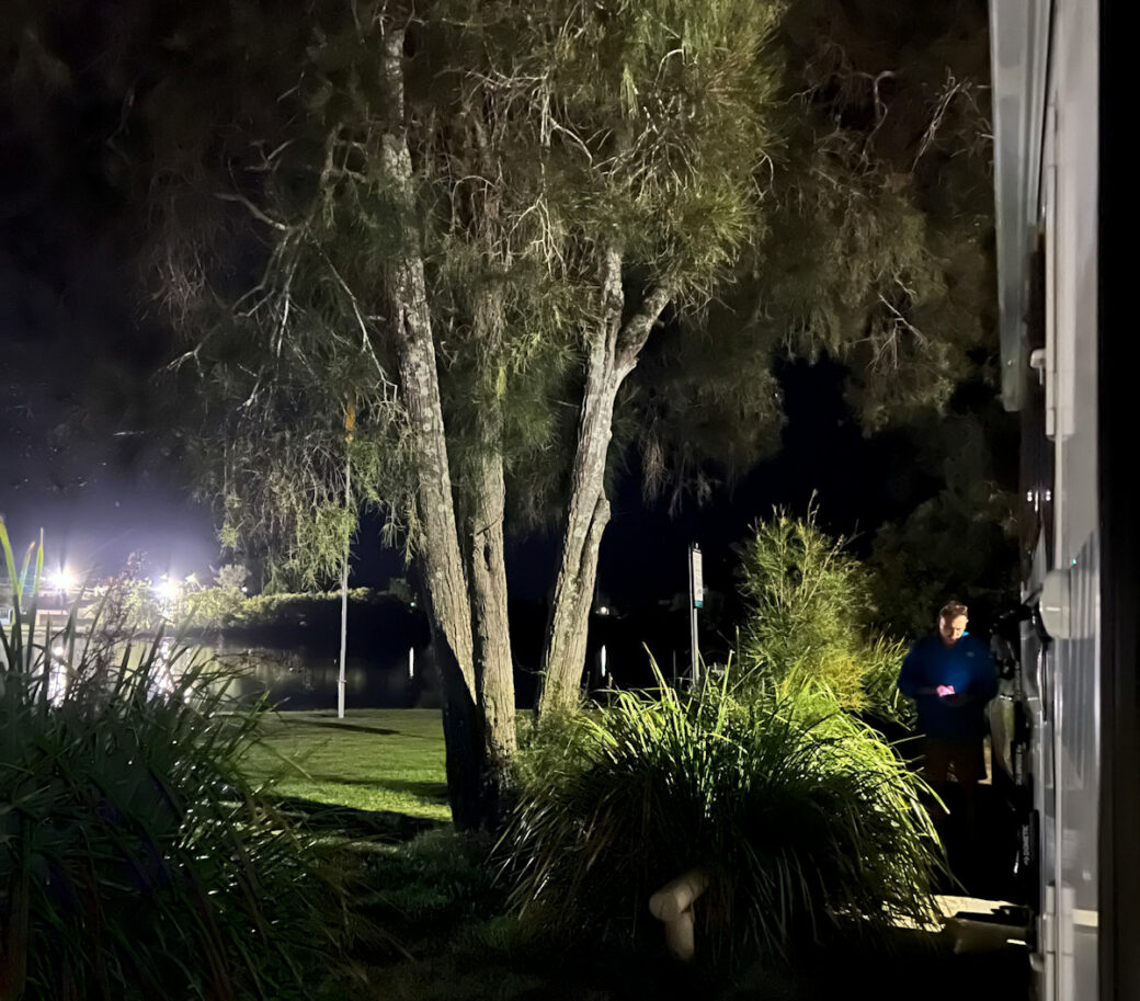 Peaceful camping area with large trees and open grass at Macksville, New South Wales