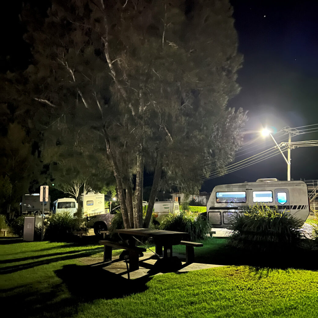 Shaded camping spot with picnic table among tall trees at Macksville campground
