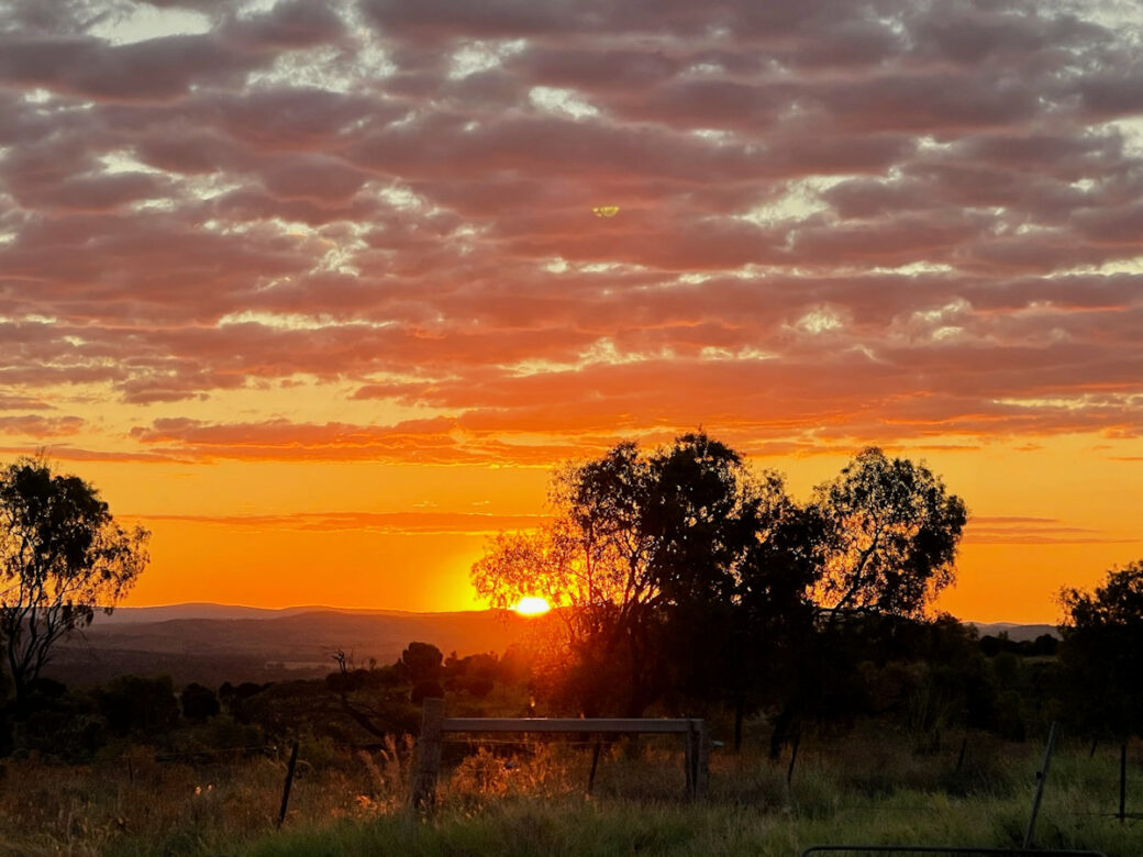 Spacious camping grounds with caravans at Lawgi Heritage Park Farm Stay