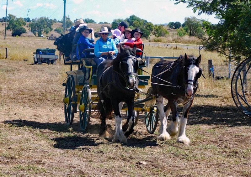 Horse-drawn wagon ride experience at Lawgi Heritage Park & Farm Stay