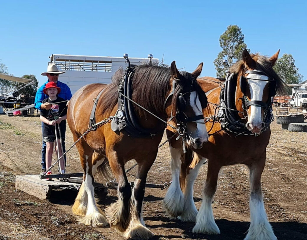 Campsite with caravan at Lawgi Heritage Park & Farm Stay, Queensland