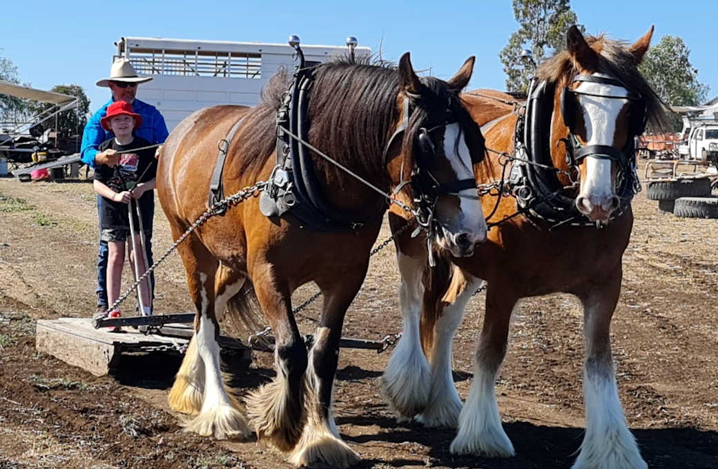 Lawgi Heritage Park & Farm Stay