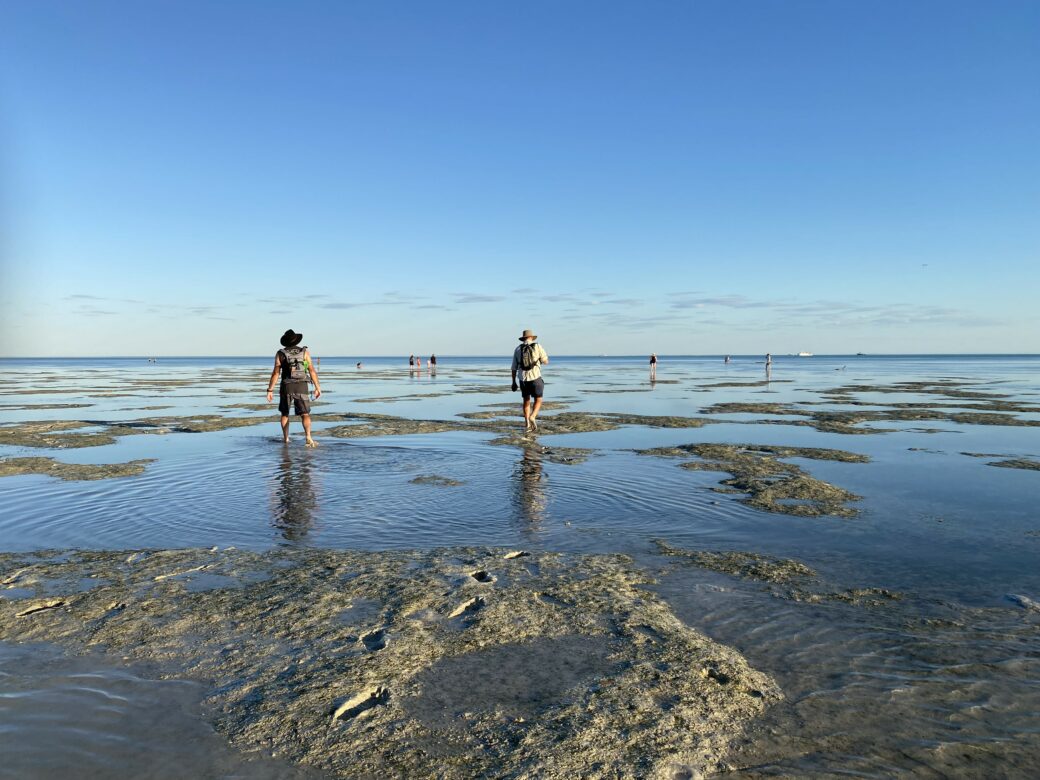 Close-up of corroded Catalina flying boat wreck structure emerging from Roebuck Bay at low tide