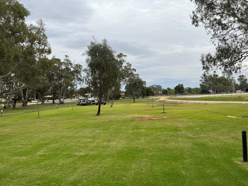 four different areas to camp at Nyah Rec Reserve