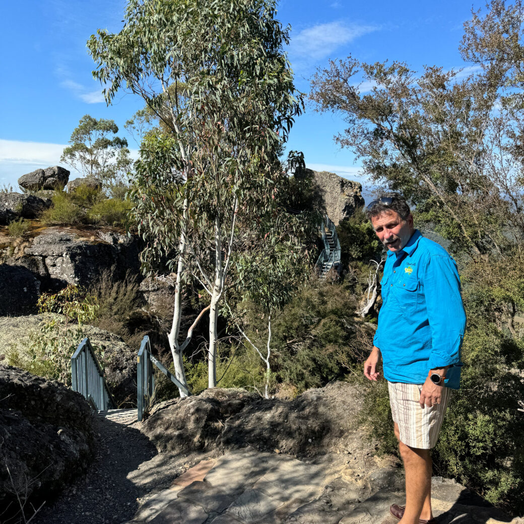 Picnic shelter and amenities at Powers Lookout day use area in Victorian High Country