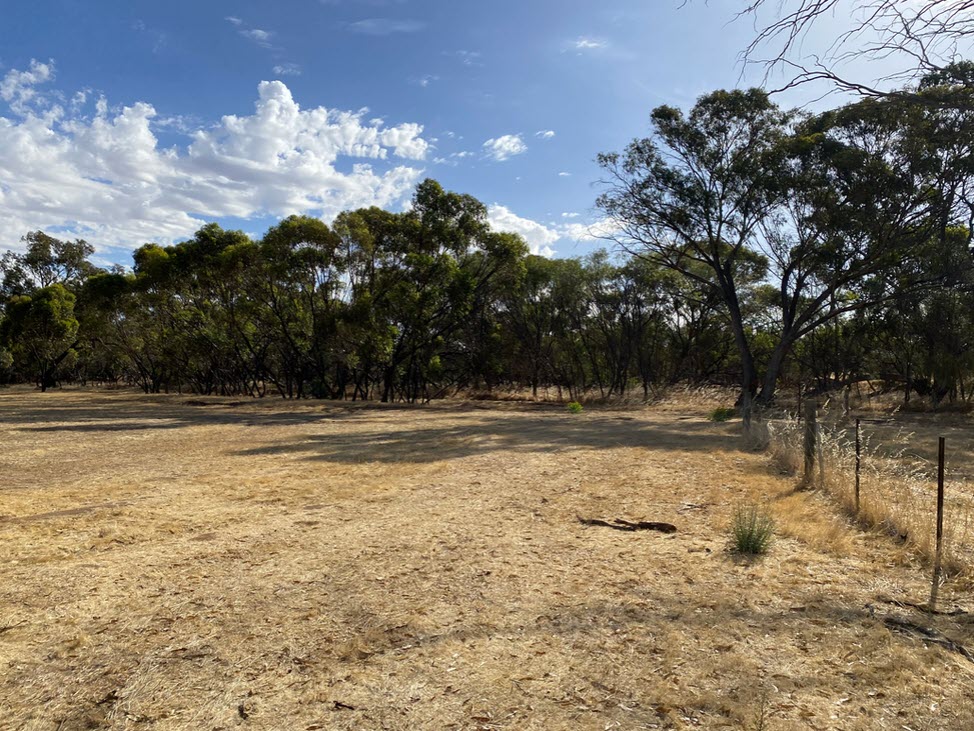 Fram Paddock The Paddock Camp - Farm Stay in Corrigin, Western Australia - Camps ...