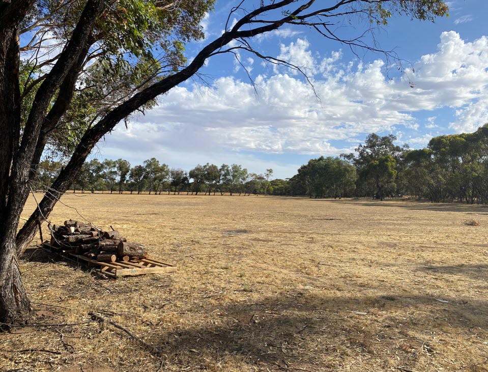 The Paddock Camp farm stay in Corrigin, Western Australia