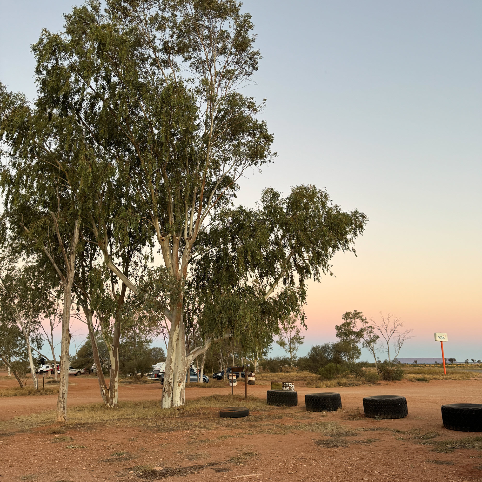 Curtin Springs