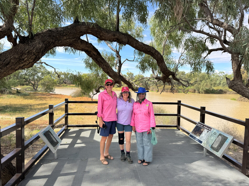 Historic Dig Tree site near Innamincka, marking Burke and Wills expedition route