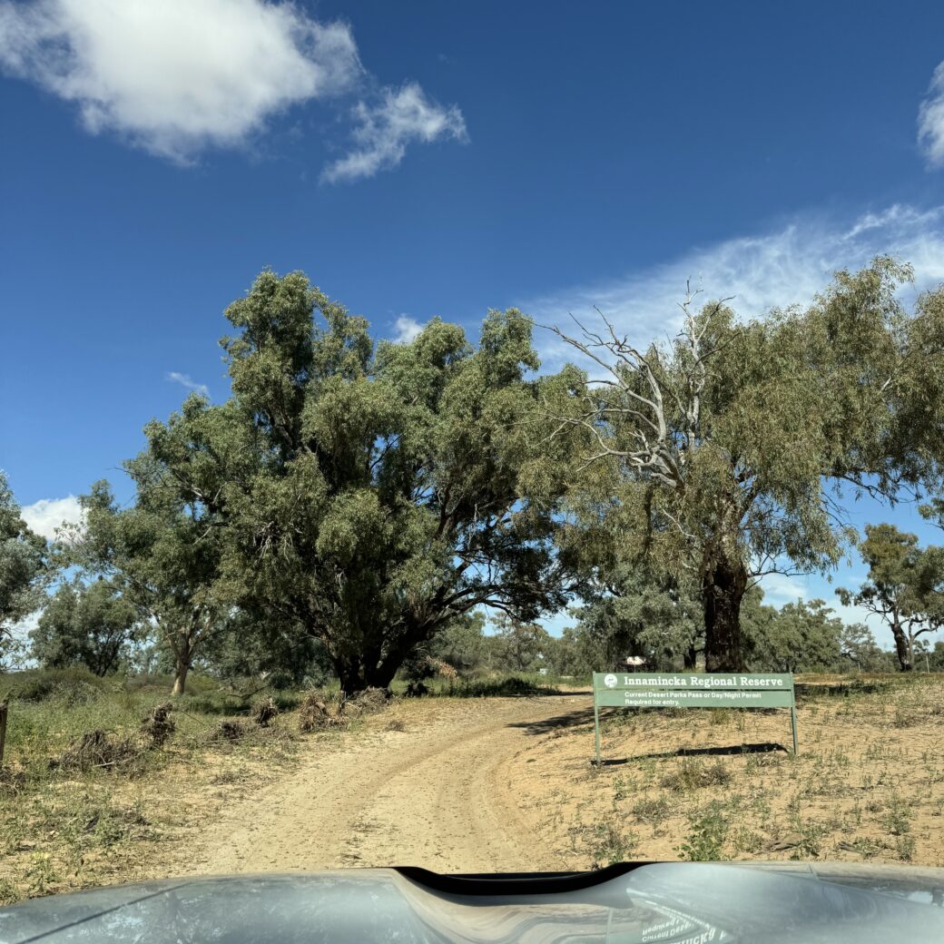 Innamincka Regional Reserve landscape showing Cooper Creek and surrounding bushland