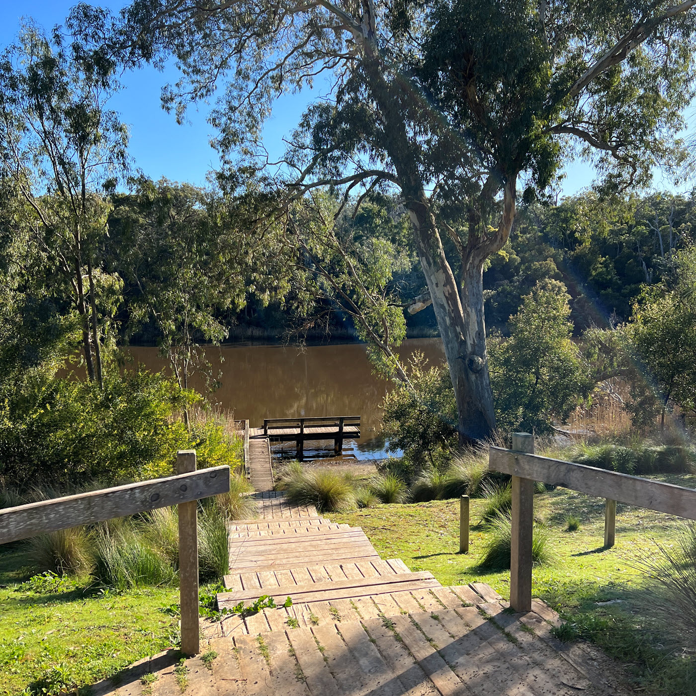 Pritchards Campground, Lower Glenelg National Park
