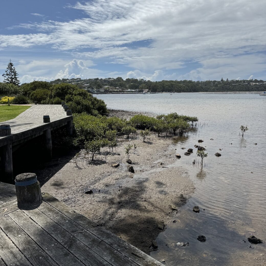 Wooden boardwalk along Merimbula waterfront providing accessible coastal walking paths