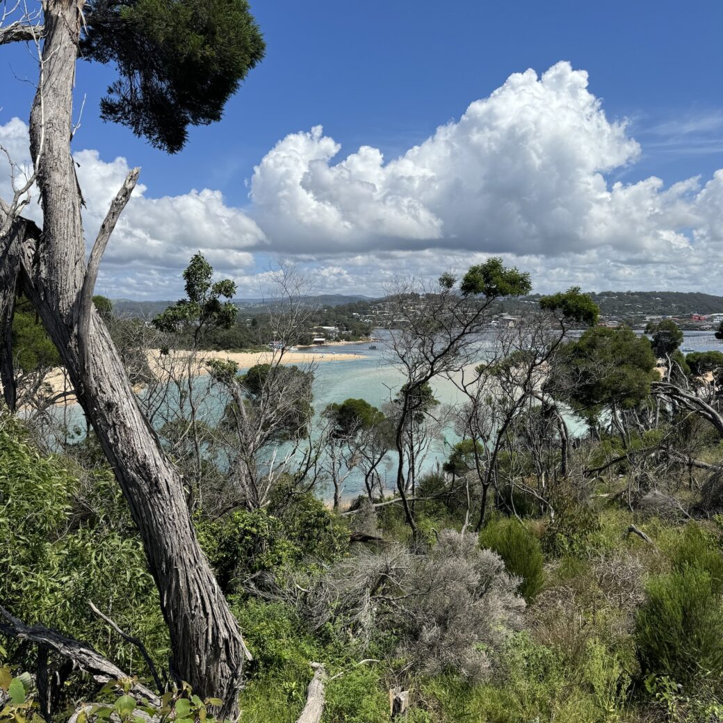 Panoramic view of Merimbula Bay showing pristine beaches and coastal landscape