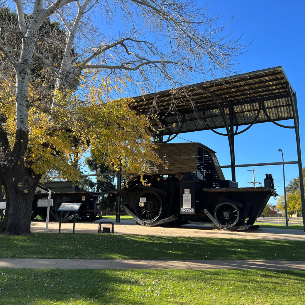 Red Cliffs Big Lizzie Park (day use) Mildura VIC
