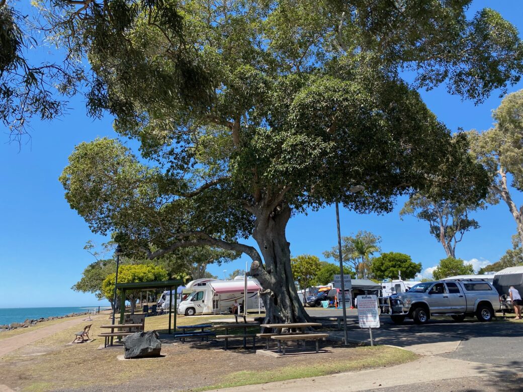 Ocean views from camping sites at Burrum Heads Beachfront Caravan Park Queensland
