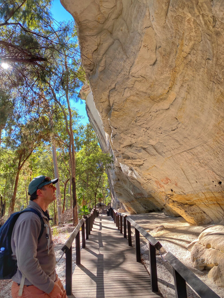 Ancient Indigenous rock art and stencils at Art Gallery, Carnarvon Gorge National Park